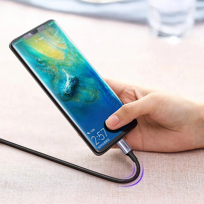 USB-C Data and Charging Cable - USB-C UGREEN US316, 100W, 3m, Gray