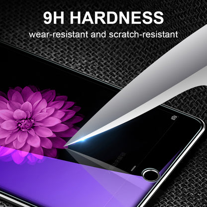 Lito Classic Anti Blue Light Screen Protector for Apple iPad Pro 11 (2024), Tempered Glass, Full Glue, 2.5D