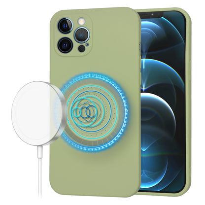MagSafe Case for Apple iPhone 12 Pro Max, Techsuit, SoftFlex, Matcha